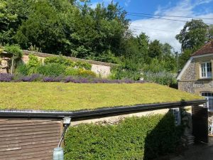 green roof